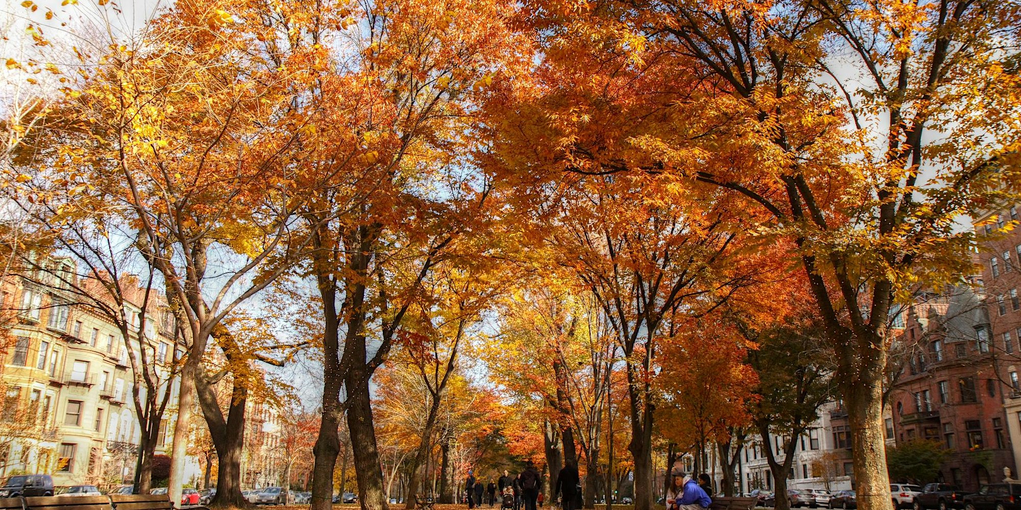 1d4d755522f20235c5ec4e7ddebaf0c2-eNLhI7.tmp_